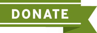 Donate-Button-GreenL-317x107